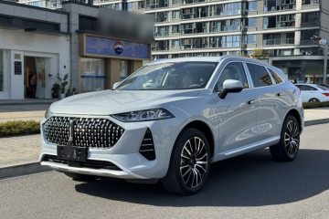 Used Wey Mocha 2021 2.0T Four-Wheel Drive Premium Edition