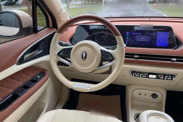 Used ORA Good Cat 2023 401 km Standard Range Luxury Version Lithium Iron Phosphate
