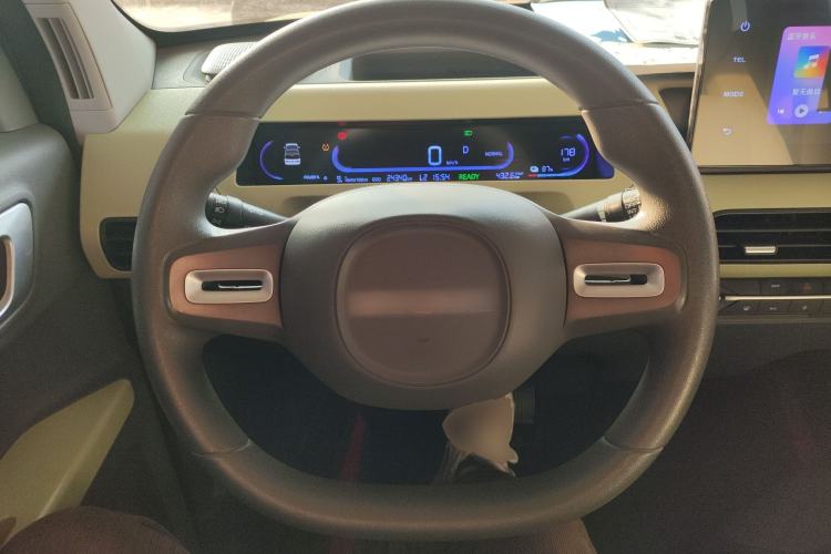 Used  Panda 2023 Panda Mini 200km Endurance Bear
