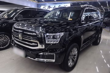 Used Tank 500 New Energy 2024 Hi4-T