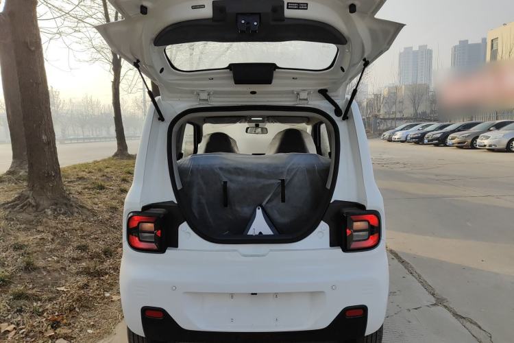 Used  Panda 2024 Panda Mini 200km Endurance Bear
