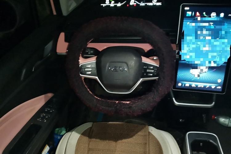 Used NETA V 2021 Witch Edition
