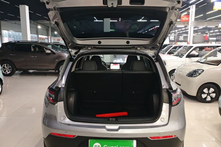 Used  Geome 2025 310km Youth Edition
