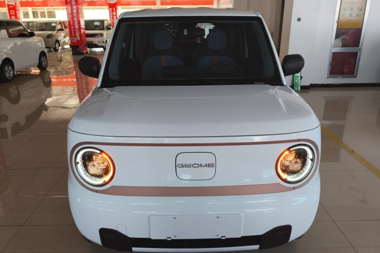 Used  Panda 2024 Panda Mini 200km Endurance Bear
