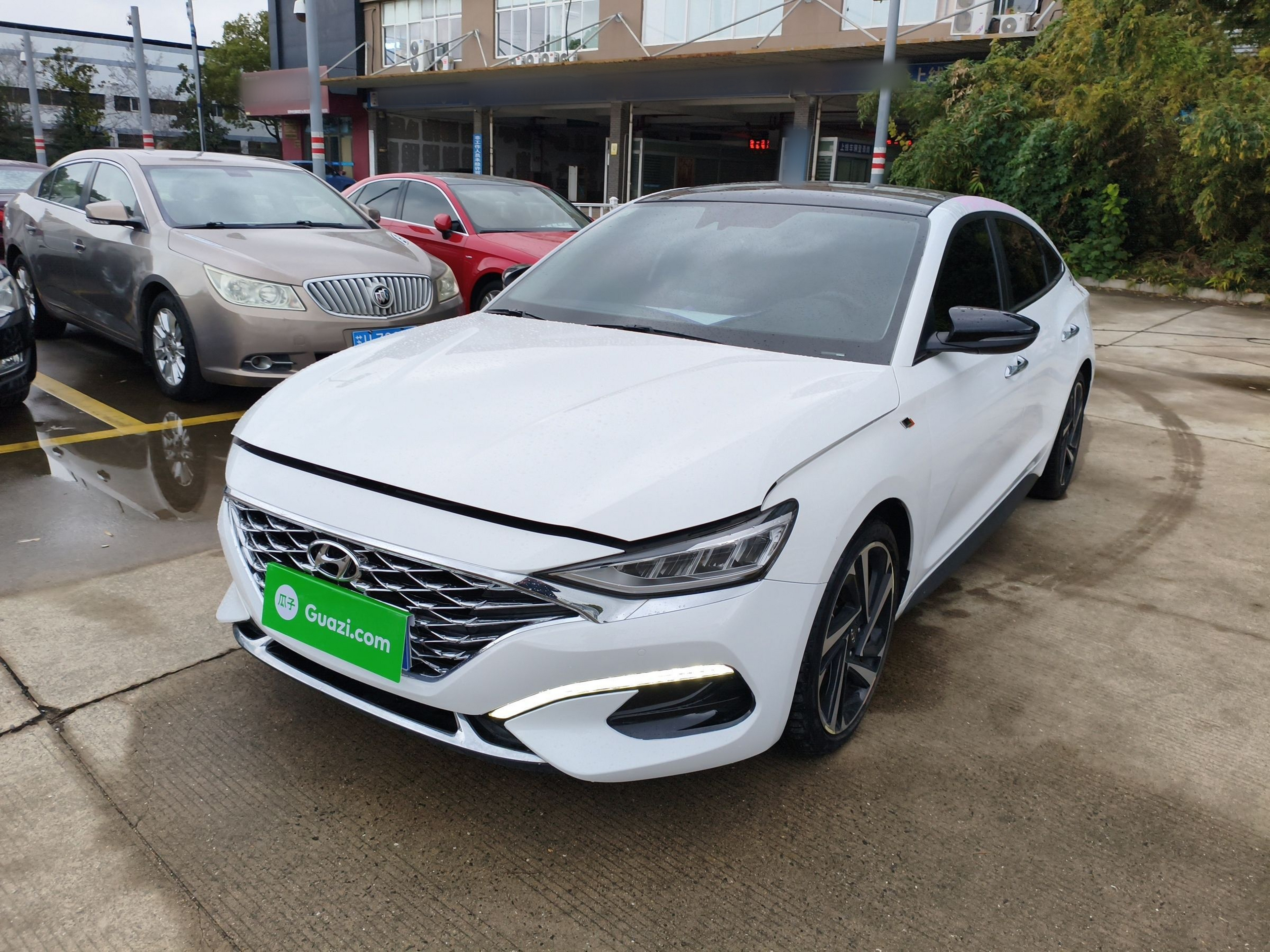 تحت مقدمة السيارة