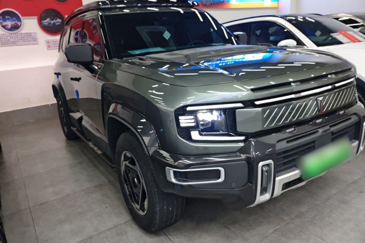 Used  G318 2025 Worry-Free Cross-Country Edition Four-Wheel Drive Distant Mountains Version