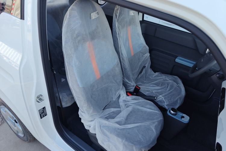 Used  Panda 2024 Panda Mini 200km Endurance Bear