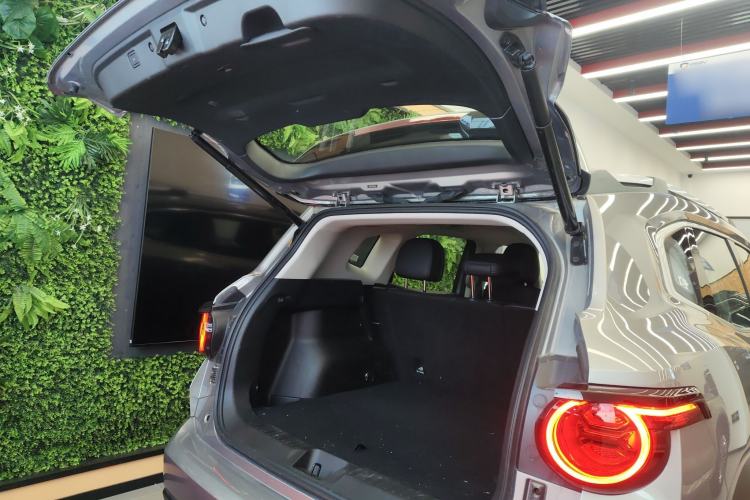 Used Haval H Dog 2023 2.0T Two-Wheel Drive Chaoye Version Plus