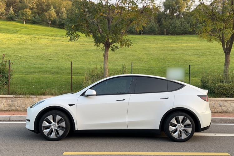 Used Tesla Model Y 2021 Long-Range All-Wheel-Drive Version 3D7
