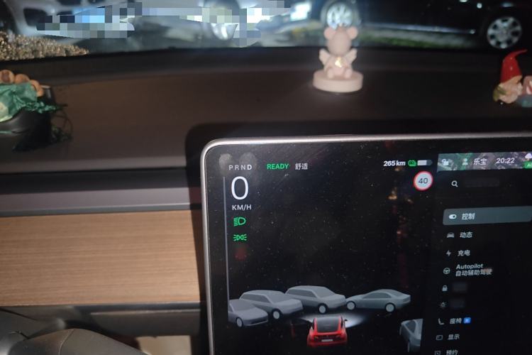 Used Tesla Model Y 2021 Standard Range Rear-Wheel Drive Version
