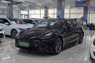 Used Tesla Model 3 2022 Rear-Wheel-Drive Version