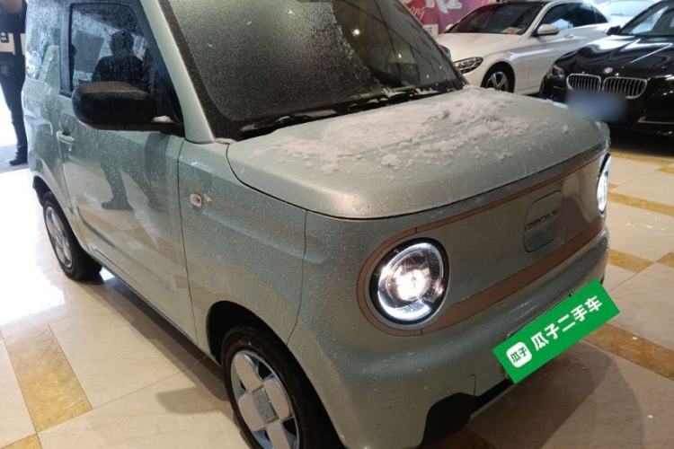 Used  Panda 2023 Panda Mini 200km Endurance Bear
