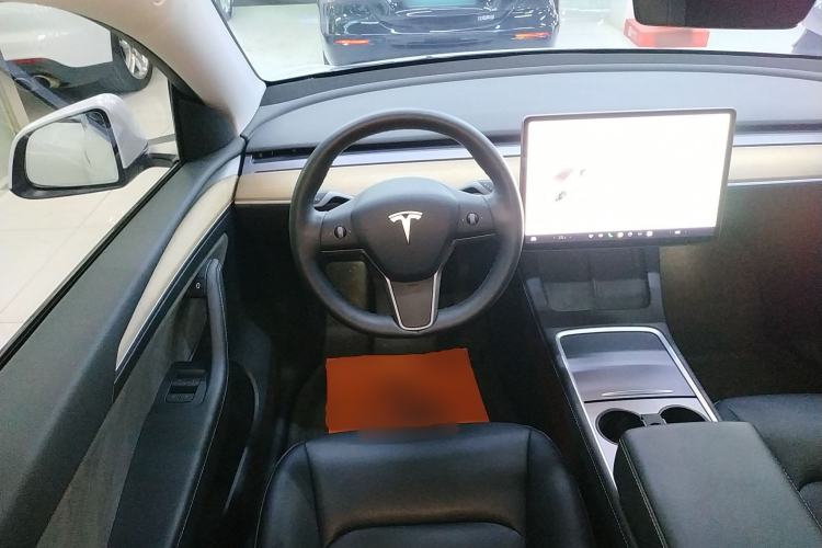 Used Tesla Model Y 2021 Standard Range Rear-Wheel Drive Version
