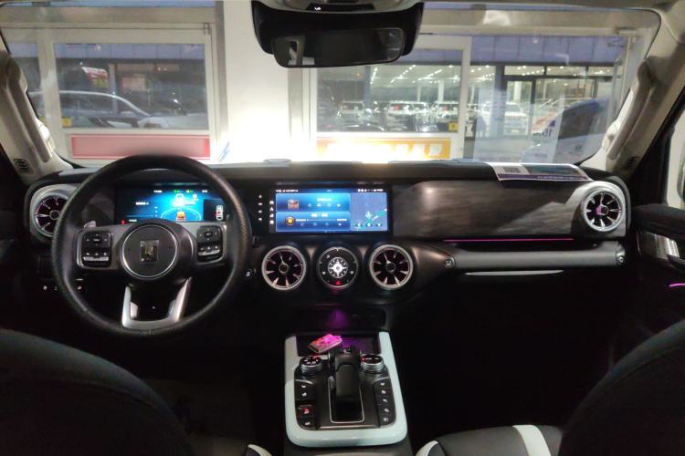 Used Tank 300 2021 City Edition 2.0T—Truly Stylish
