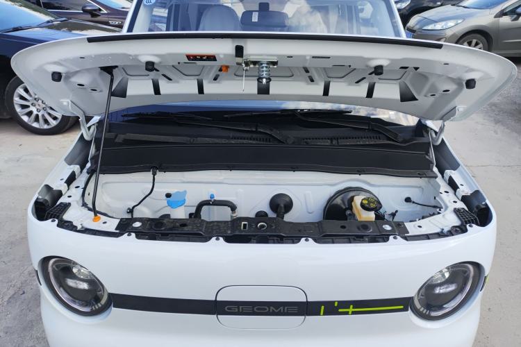 Used  Panda 2025 210 km – Yuanqi Bear
