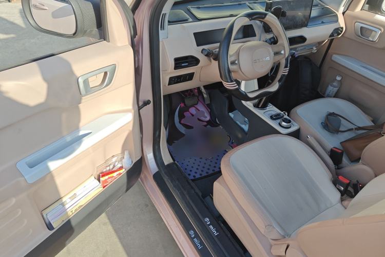 Used  Panda 2023 Panda Mini 200km Endurance Bear
