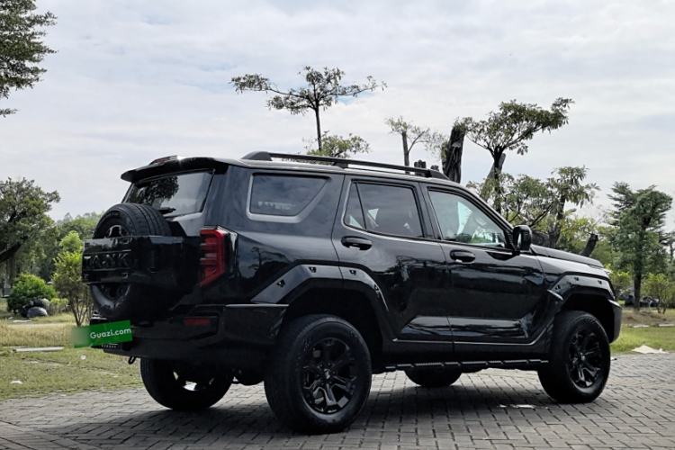 Used Tank 400 2025 2.0T Gasoline Version
