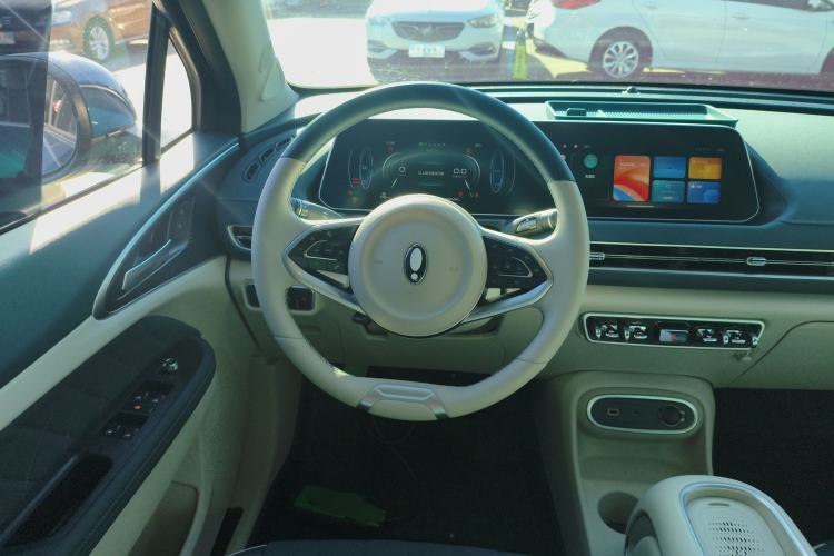 Used ORA Good Cat 2023 401 km Standard Range Luxury Version Lithium Iron Phosphate
