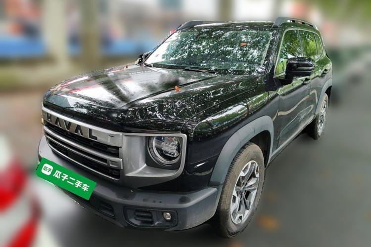 Used Haval DARGO 2024 2.0T DCT Chinese Rural Dog Edition