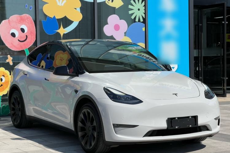 Used Tesla Model Y 2021 Standard Range Rear-Wheel Drive Version
