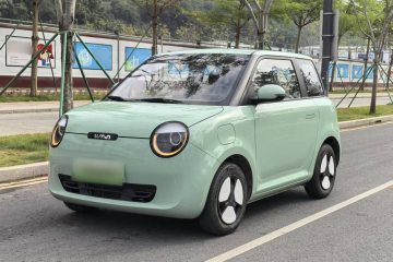 Used Qiyuan Lumin 2022 210km Sweet Edition