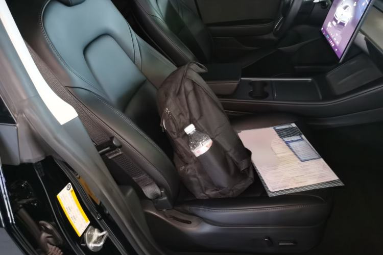 Used Tesla Model 3 2022 Rear-Wheel-Drive Version
