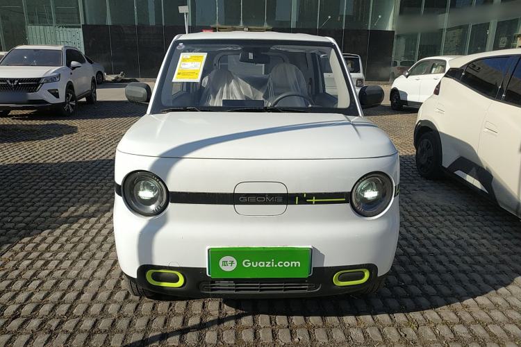 Used  Panda 2025 210 km – Yuanqi Bear
