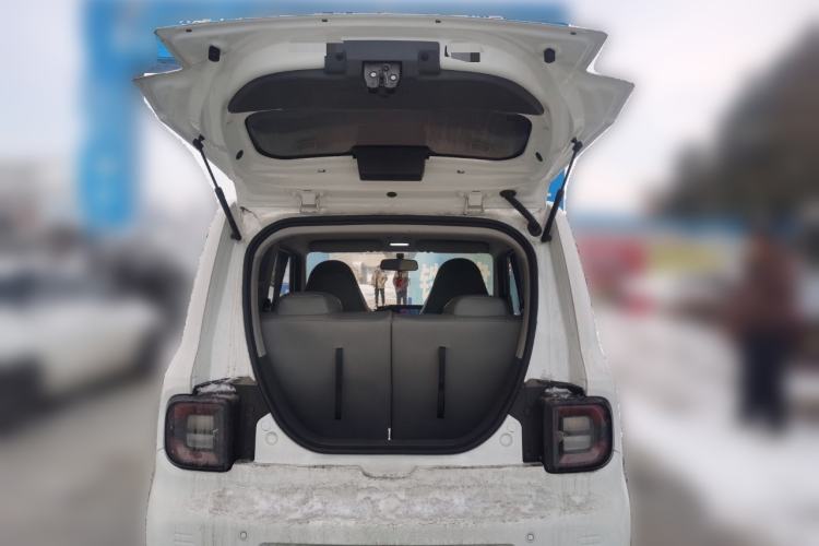 Used  Panda 2023 Panda Mini 200km Endurance Bear