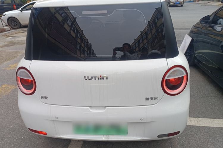 Used Qiyuan Lumin 2024 130km Qingyue Version
