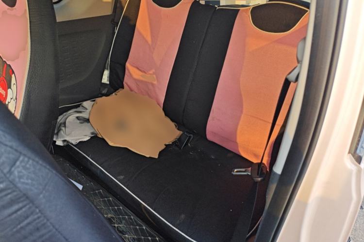 Used Wuling Hongguang MINIEV 2022 Macaron Fashion Edition Lithium-Nickel-Cobalt-Alpha-oxide
