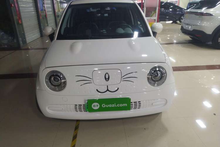 Used ORA Black Cat 2022 301km "Cute & Dynamic" Phosphate Iron Lithium
