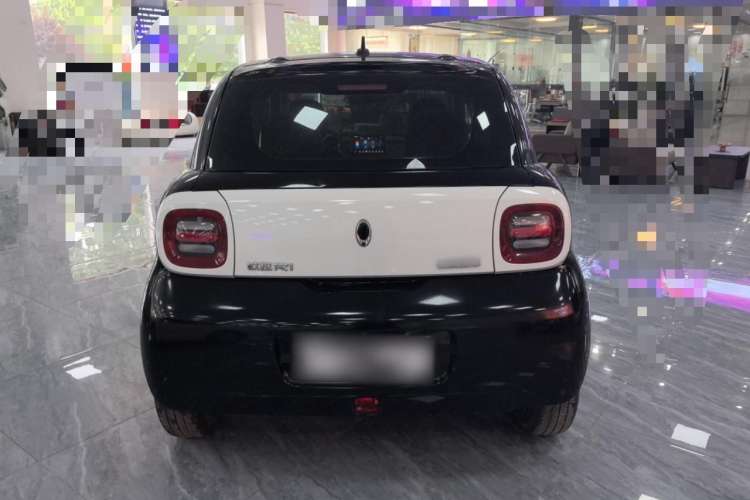 Used ORA Black Cat 2019 310km Fun Edition
