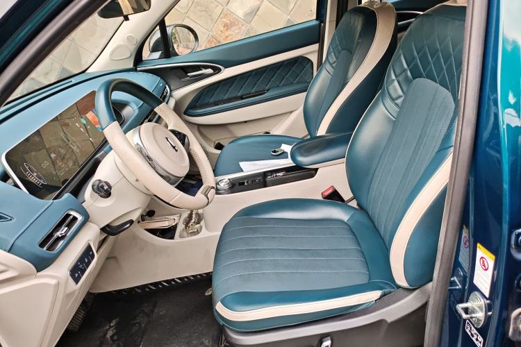 Used ORA Good Cat 2021 400km Standard Range Athena Edition Lithium-Ion Battery
