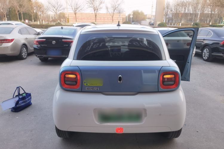 Used ORA Black Cat 2019 351 km Goddess Edition
