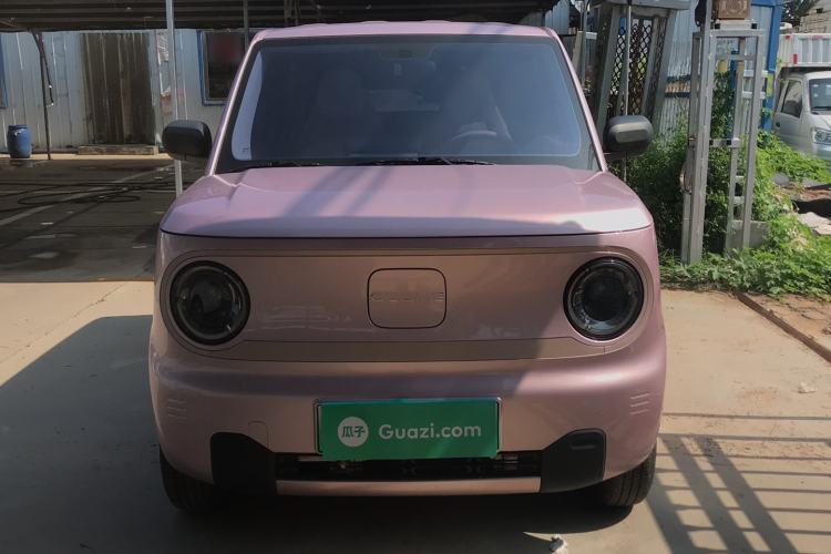 Used  Panda 2023 Panda Mini 200km Endurance Bear
