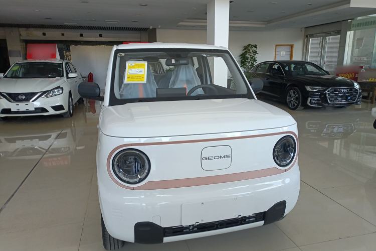 Used  Panda 2024 Panda Mini 200km Endurance Bear
