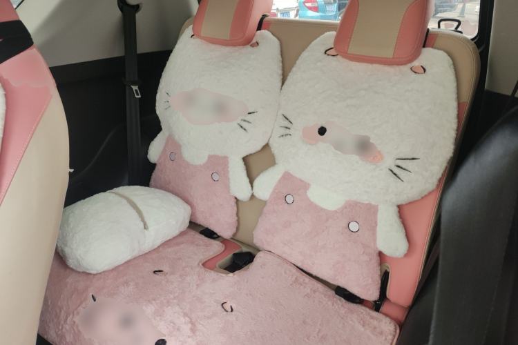 Used Chery Little Ant 2019 4-Seater Smart Edition 30.6 kWh