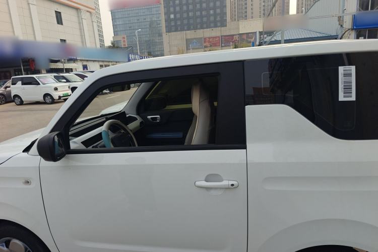 Used  Panda 2024 Panda Mini 200km Endurance Bear
