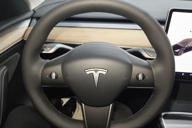 Used Tesla Model Y 2021 Standard Range Rear-Wheel Drive Version
