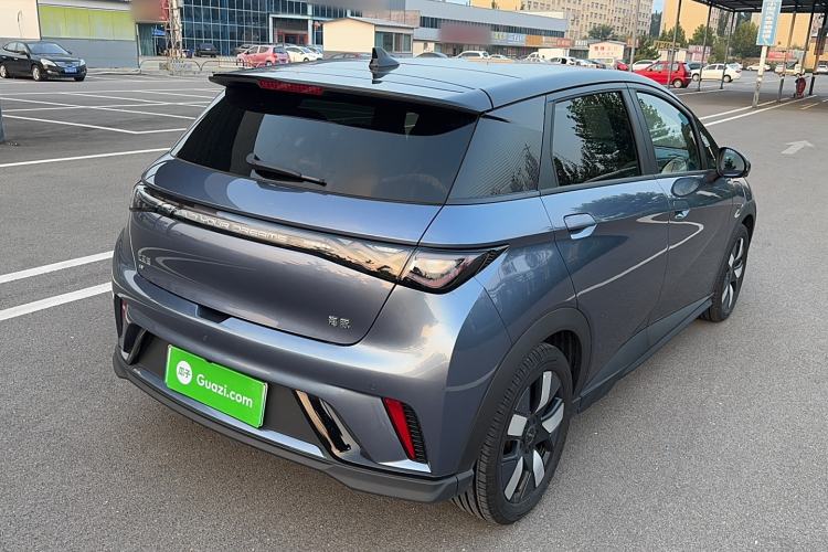 Used BYD Dolphin 2024 Honor Edition 401km Knight Edition
