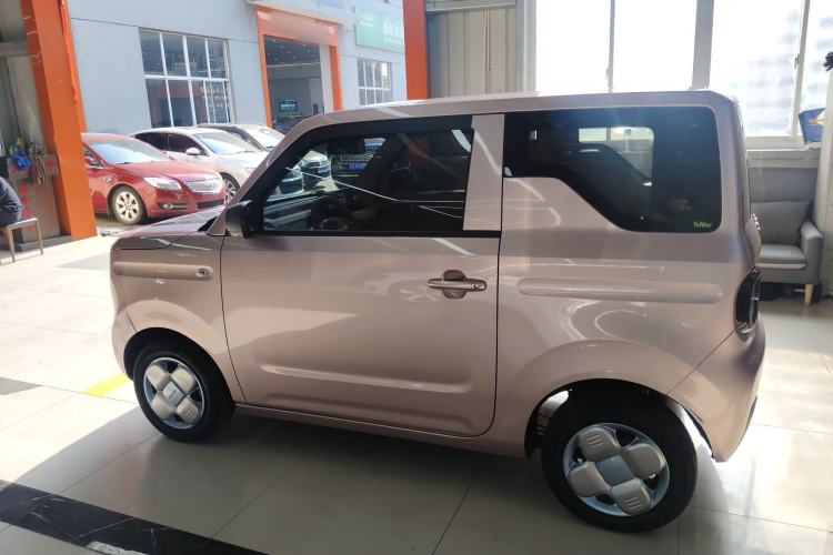 Used  Panda 2023 Panda Mini 200km Endurance Bear
