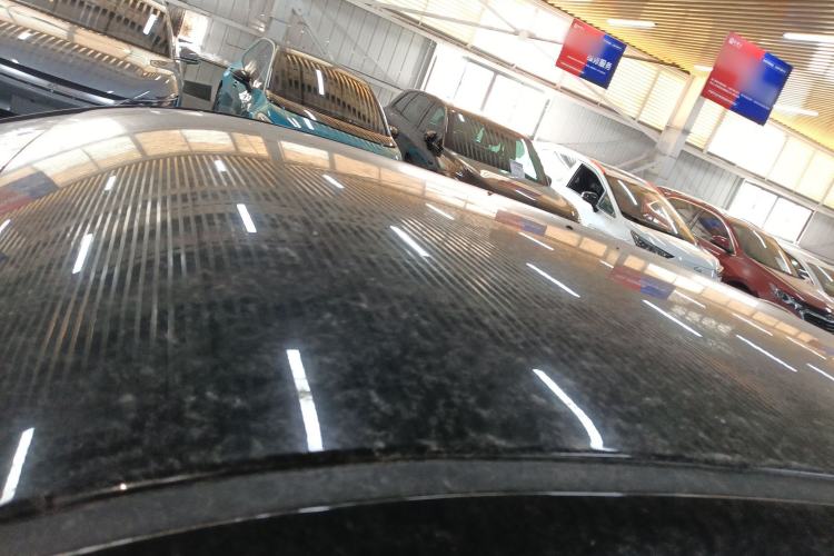 Used ORA Black Cat 2019 351 km Family Edition