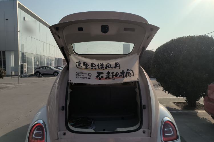 Used ORA Ballet Cat 2023 401 km Luxury Version