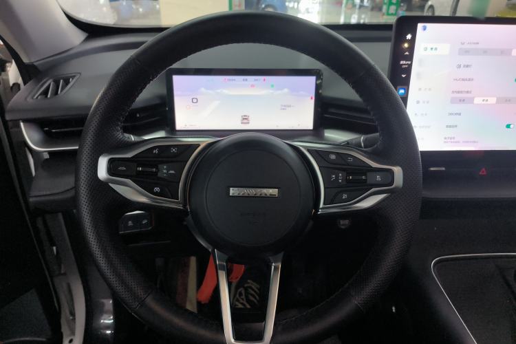 Used Haval H6 2024 1.5T Two-Wheel Drive Max
