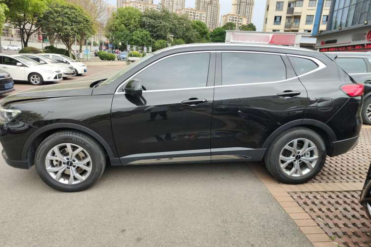 Used Haval H6 2021 National Trend Edition 1.5T Automatic Champion Version
