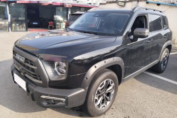 Used Haval DARGO 2024 2.0T DCT Chinese Rural Dog Edition