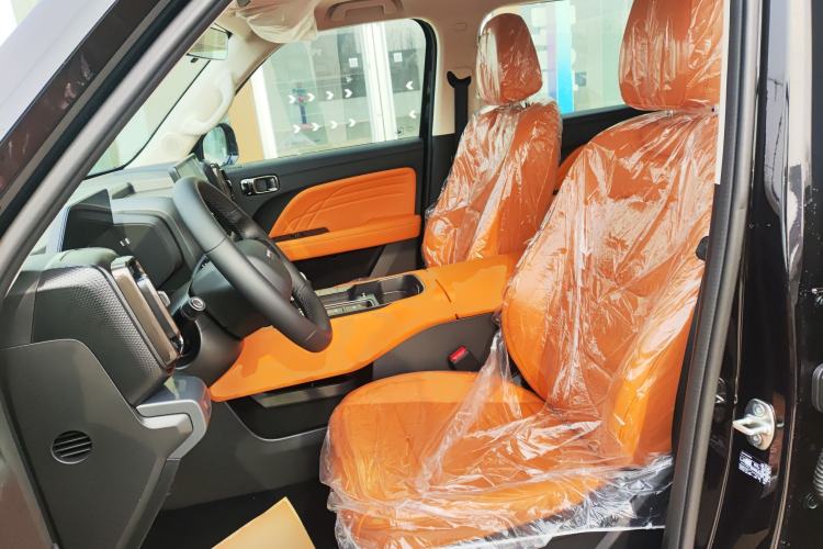 Used Haval Raptor New Energy 