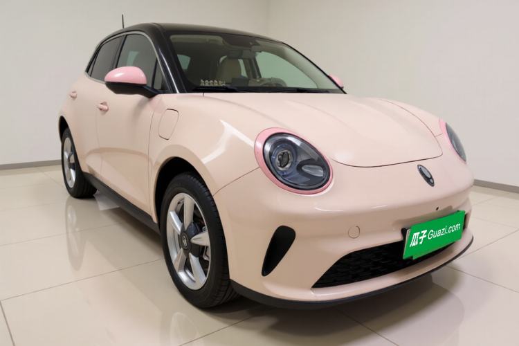 Used ORA Good Cat 2025 Model, 430 km Luxury Version
