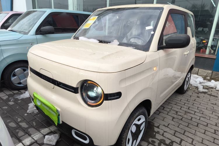 Used  Panda 2025 210 km – Yuanqi Bear