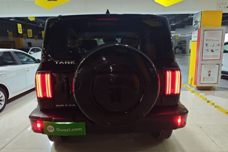 Used Tank 300 2021 City Edition 2.0T My Vision Model
